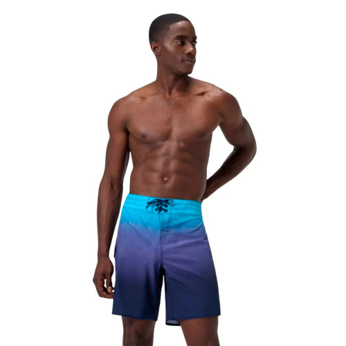 Speedo  шорты пляжные мужские The lookout фото 3