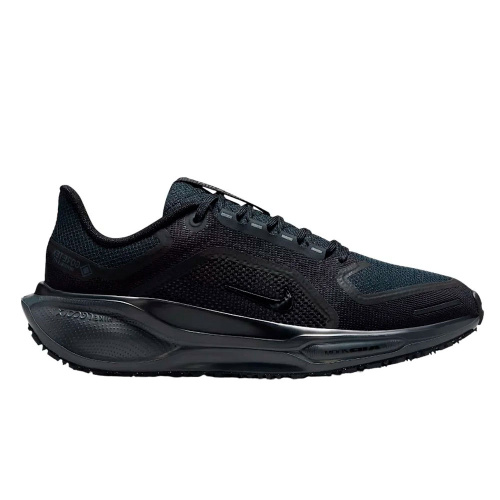 Nike  кроссовки женские Air zm pegasus 41 gtx