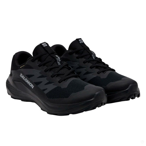 Salomon  кроссовки мужские Alphaglide gtx фото 2