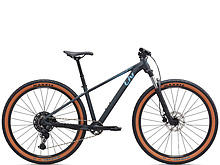 Liv  велосипед Tempt 29 1 - 2026