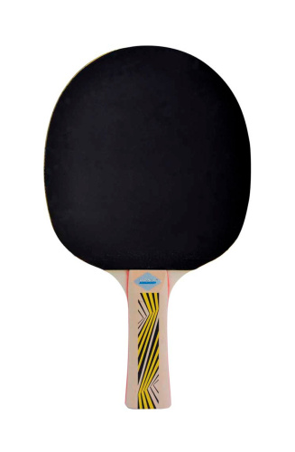 Donic Schildkrot  ракетка для настольного тенниса Legends 500 фото 2