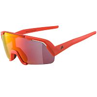 Alpina  солнцезащитные очки Rocket 