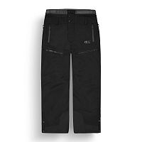 Picture Organic  брюки лыжные мужские Naikoon