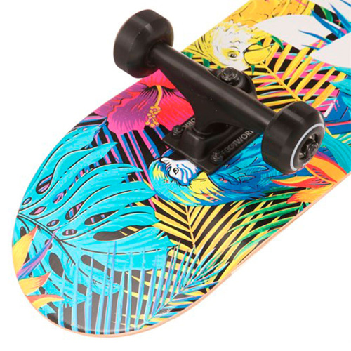 Footwork  круизер  Tropical фото 2