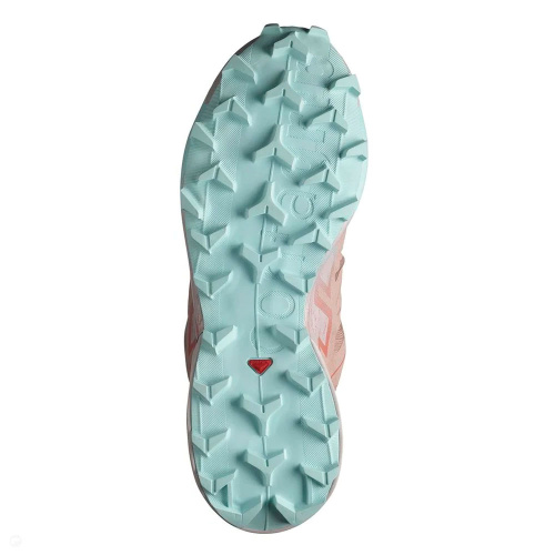 Salomon  кроссовки женские Speedcross 6 фото 6