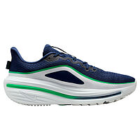 Nike  кроссовки мужские Air Winflo 12