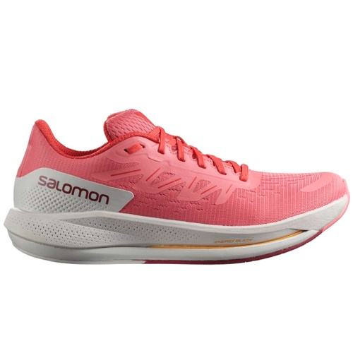 Salomon  кроссовки женские Spectur