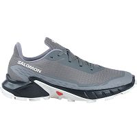 Salomon  кроссовки мужские Alphacross 5