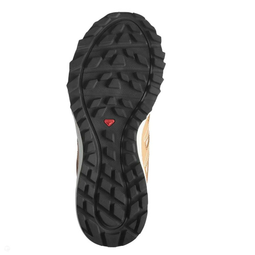 Salomon  кроссовки женские Wander фото 4