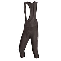 Endura  шорты мужские FS260-Pro Thermo Bibknicker