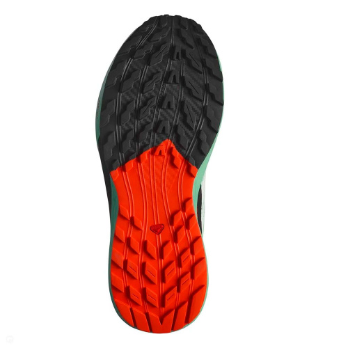 Salomon  кроссовки женские Sense ride 5 фото 5