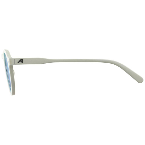 Alpina  очки солнцезащитные Sneek фото 3