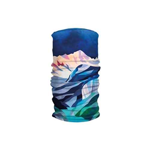 Had  бандана Printed Fleece Tube A&A Speedo