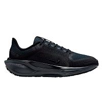 Nike  кроссовки женские Air zm pegasus 41 gtx