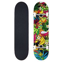 Footwork  круизер Fruits