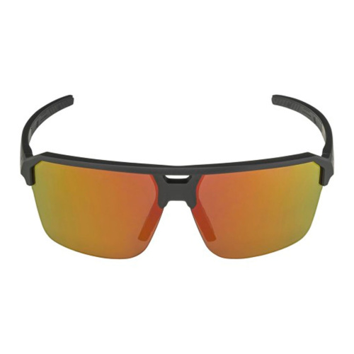 Alpina  очки солнцезащитные Swift HR фото 2