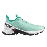 Salomon  кроссовки детские Alphacross blast