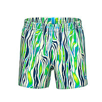 Arena  шорты мужские пляжные Water prints ao