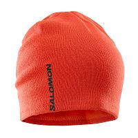 Salomon  шапка Graphic