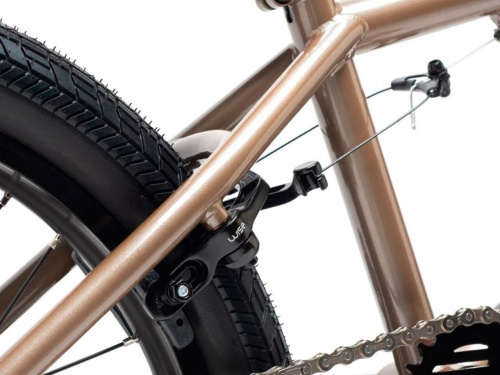 DK  велосипед Cygnus 20 - 2021 фото 3