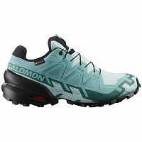 Salomon  кроссовки женские Speedcross 6 GTX