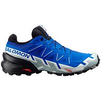 Salomon  кроссовки мужские Speedcross 6 gtx