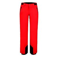 Icepeak  брюки горнолыжные мужские Fleming