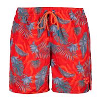 Arena  шорты мужские пляжные Allover