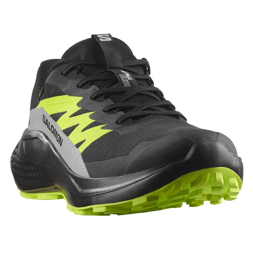 Salomon  кроссовки мужские Alphaglide gtx фото 7