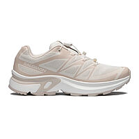 Salomon  кроссовки женские Xt-Evr