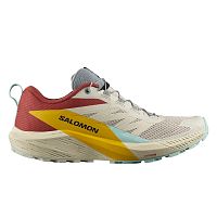 Salomon  кроссовки мужские Sense ride 5