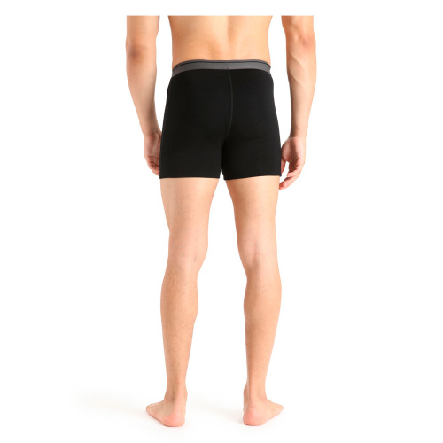 Icebreaker шорты мужские Anatomica фото 2 Icebreaker шорты мужские Anatomica фото 2