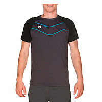 Arena  футболка мужская Gym reglan
