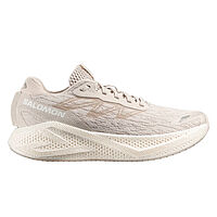 Salomon  кроссовки мужские Aero Glide 4