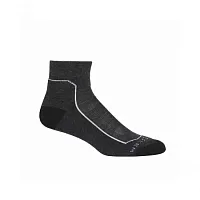 Icebreaker  носки мужские Hike+ Light Mini