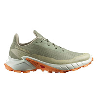 Salomon  кроссовки женские Alphacross 5