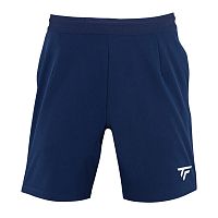 Tecnifibre  шорты мужские Team Short