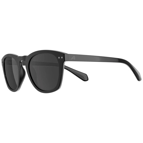 Alpina  очки солнцезащитные Sunbeam фото 2