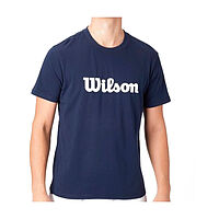 Wilson  футболка мужская Team Graphic Tee