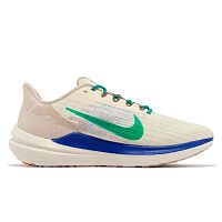 Nike  кроссовки мужские Air Winflo 9 PRM
