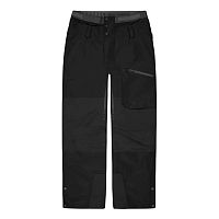 Picture Organic  брюки лыжные мужские Picture Object Gtx