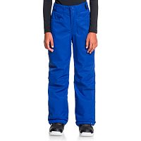 Roxy  брюки подростковые сноубордические Backyardgirl Pt G Snpt