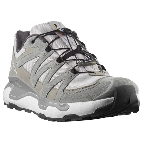 Salomon  кроссовки мужские Xc Roam Ltr фото 2