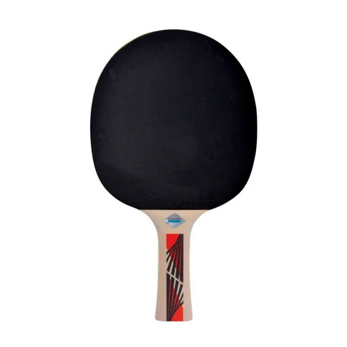 Donic Schildkrot  ракетка для настольного тенниса Legends 600 фото 2