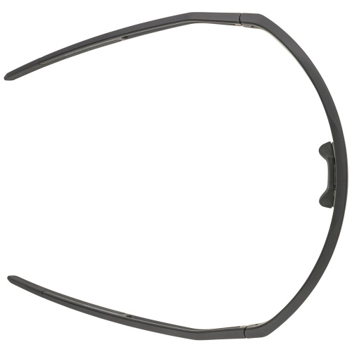 Alpina  очки солнцезащитные Sonic Hr Q-Lite фото 4