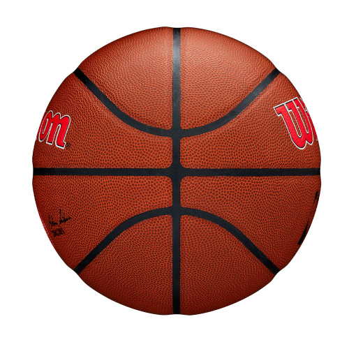 Wilson  мяч баскетбольный NBA Team Alliance Atlanta Hawks фото 4