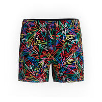 Speedo  шорты мужские пляжные A/o prnt redondo