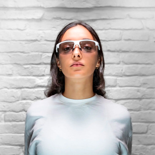 Alpina  очки солнцезащитные Eagle фото 6