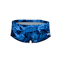 Arena  плавки мужские спортивные Team crackle