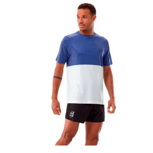 Compressport  футболка мужская Performance